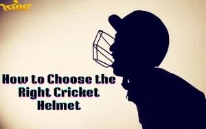 cricket helmet